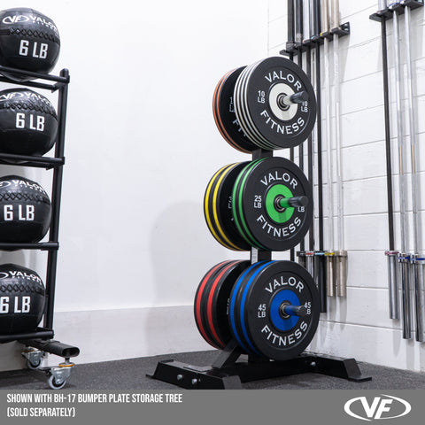 Colored Rubber Bumper Plates (LB)